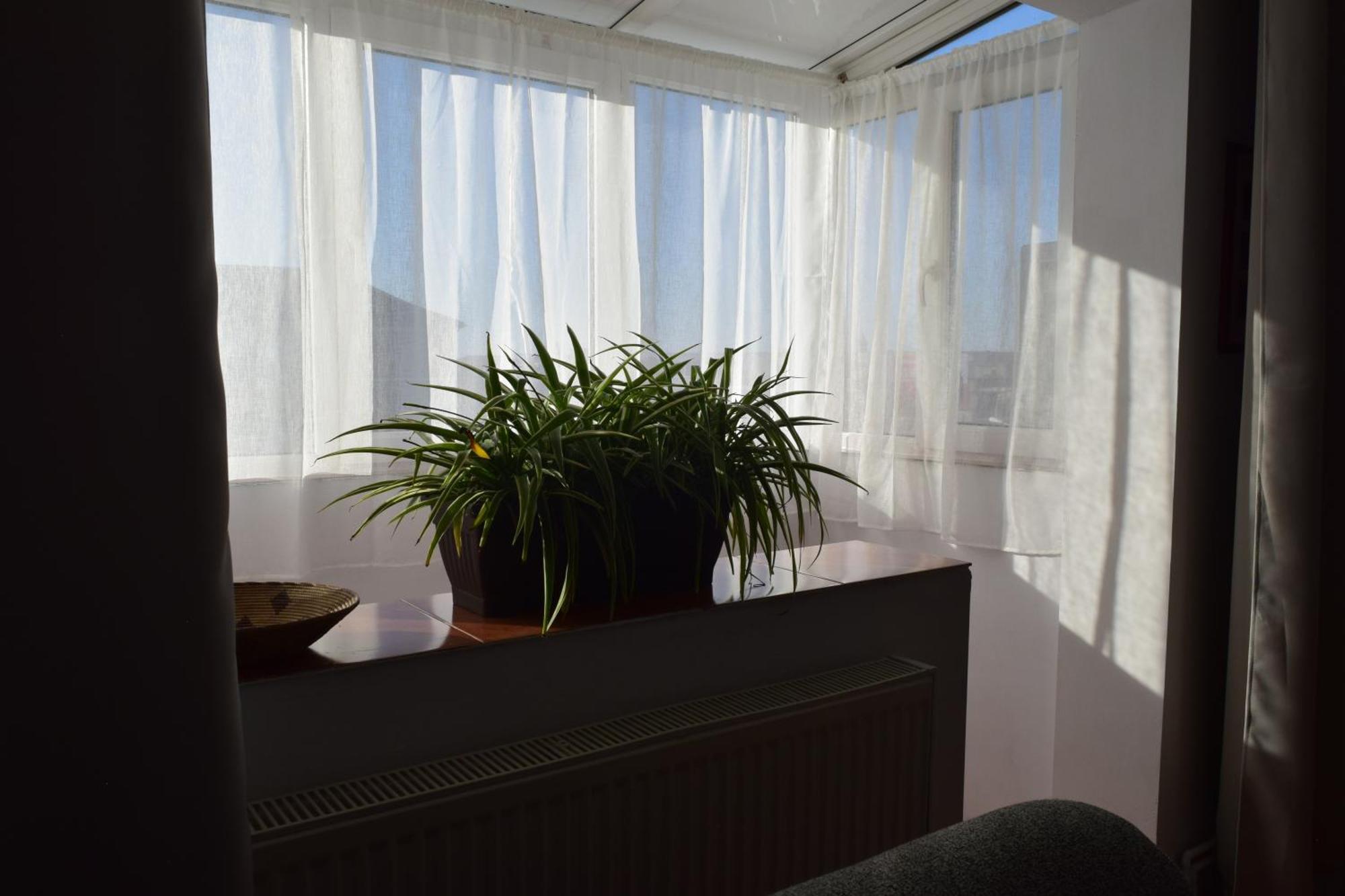 Apartament Simina Timișoara Zewnętrze zdjęcie